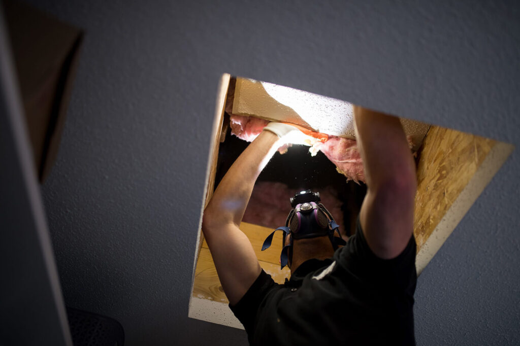 Ceiling Inspection Services