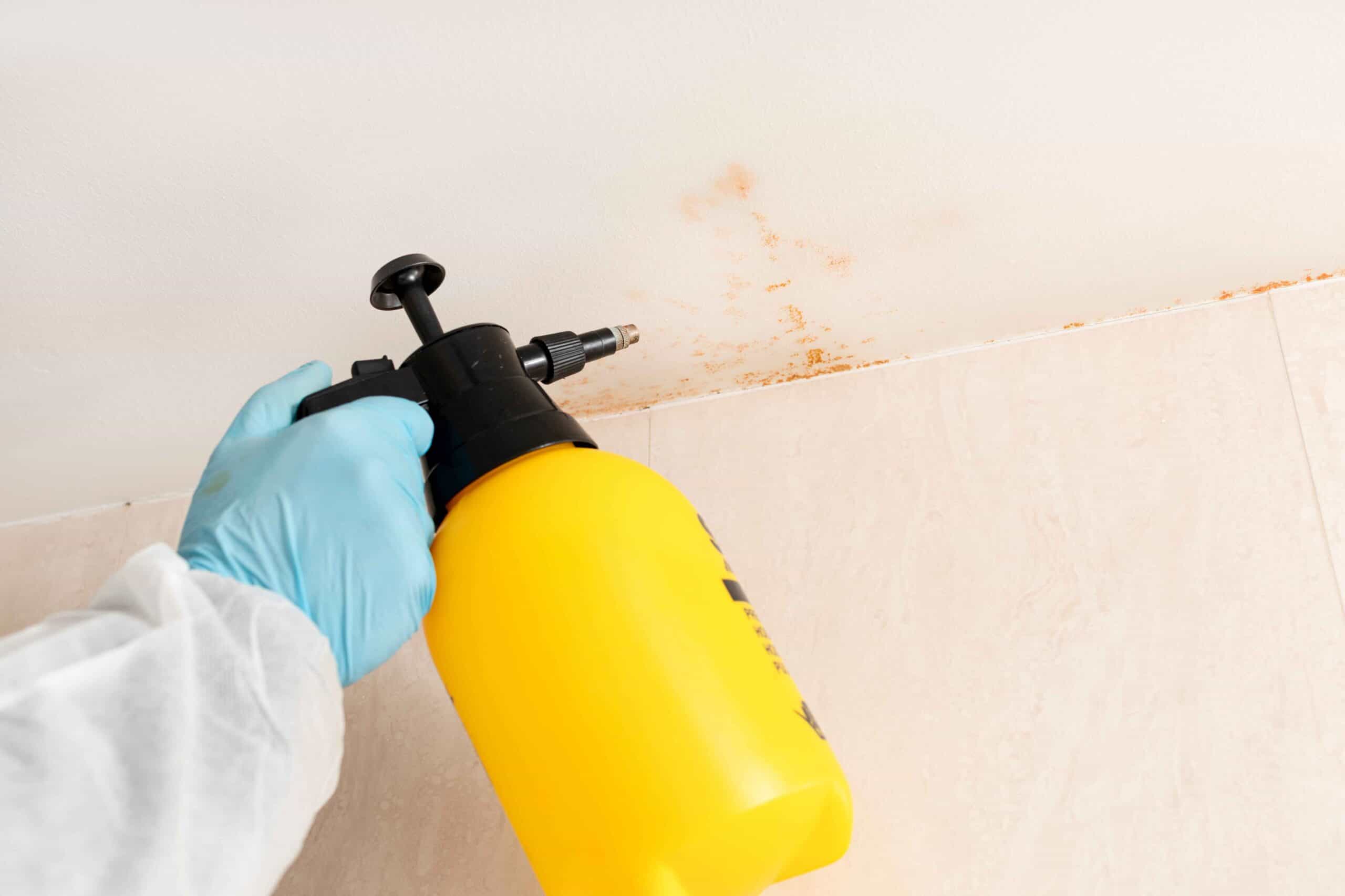 Mold Inspection Iselin | Uncover Hidden Toxins